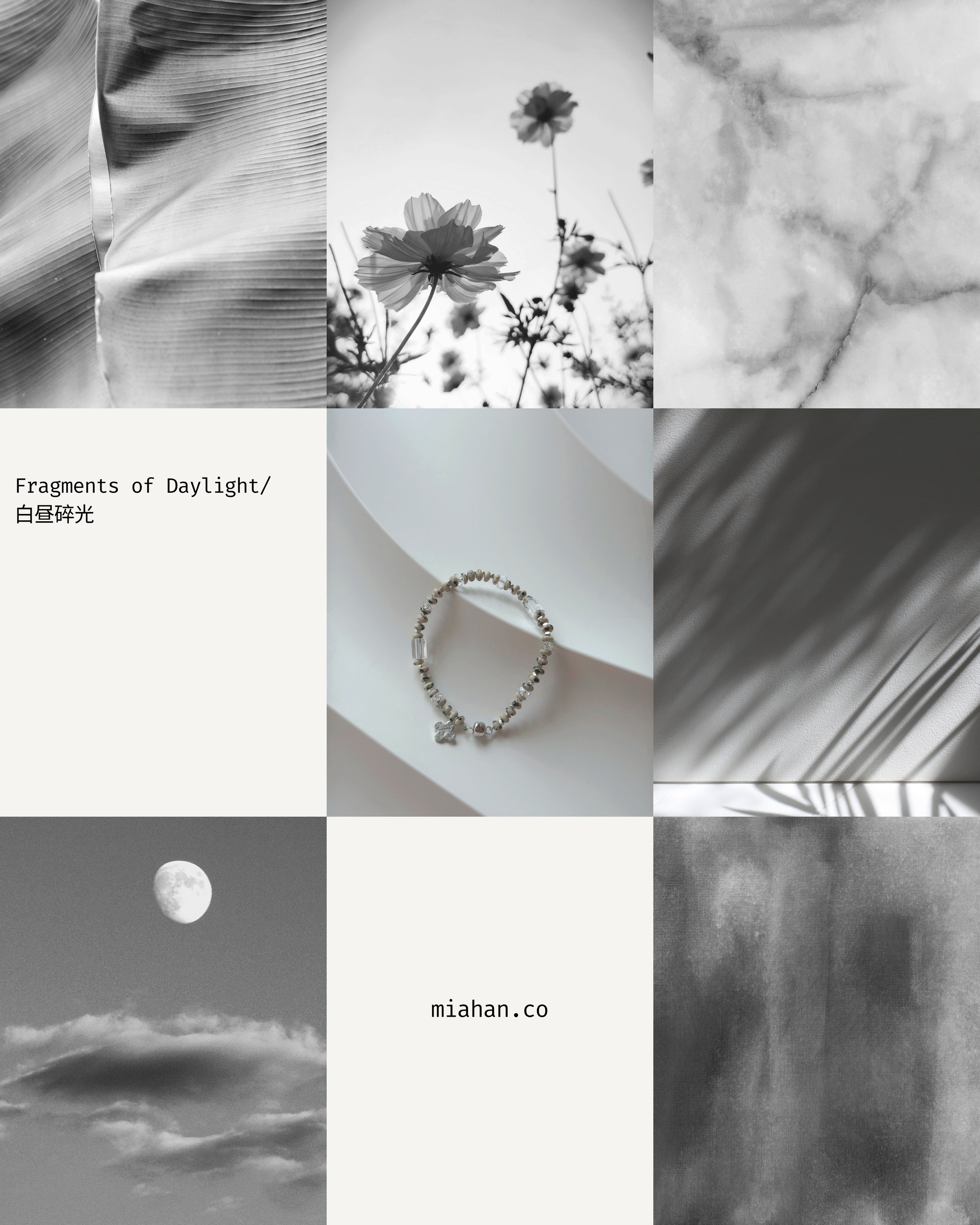 Fragments of Daylight/白昼碎光